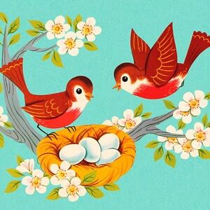 Meet your Posher, Ericka